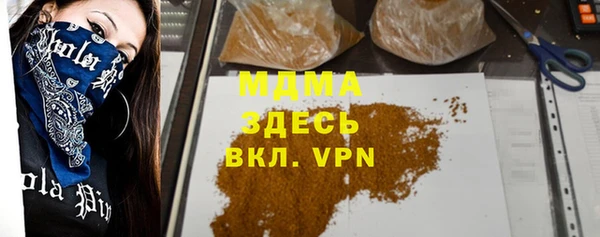 шишки Дмитриев