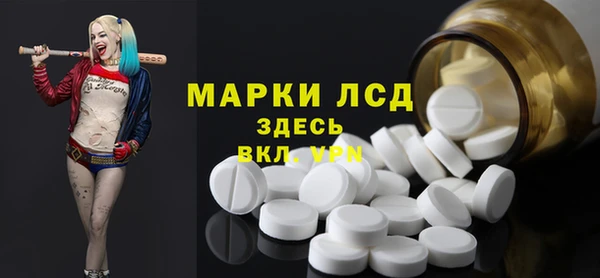 шишки Дмитриев