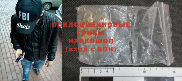шишки Дмитриев