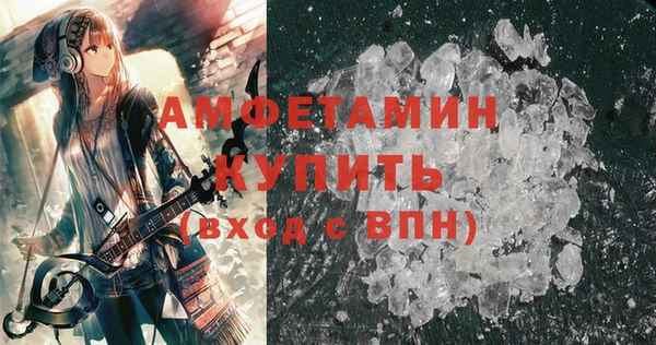 шишки Дмитриев