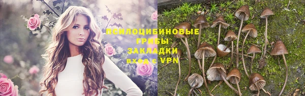 мет Дмитровск