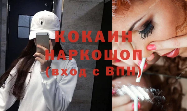 шишки Дмитриев