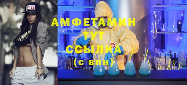 шишки Дмитриев
