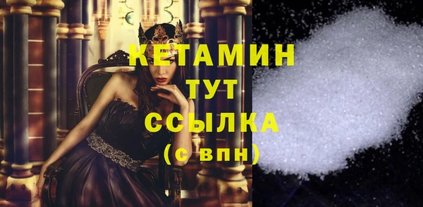 шишки Дмитриев