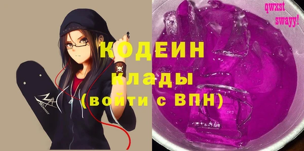 шишки Дмитриев