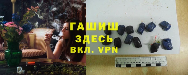 шишки Дмитриев