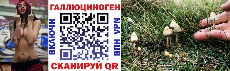 Галлюциногенные грибы Psilocybine cubensis МЕГА зеркало Протвино