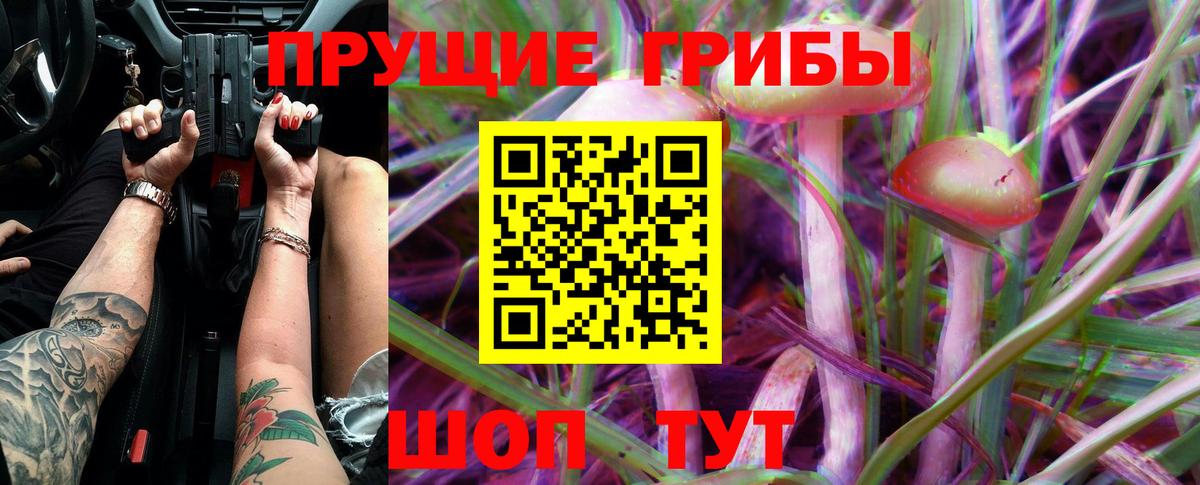 Протвино  Псилоцибиновые грибы Psilocybine cubensis  Вход с VPN 