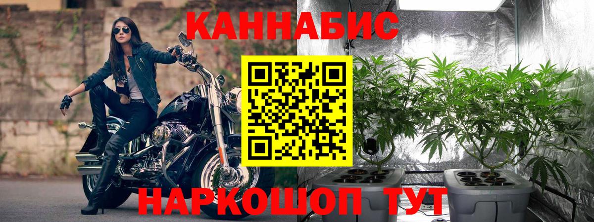 Протвино  Каннабис индика  Вход с VPN  Канабис THC 21%  Каннабис сатива 